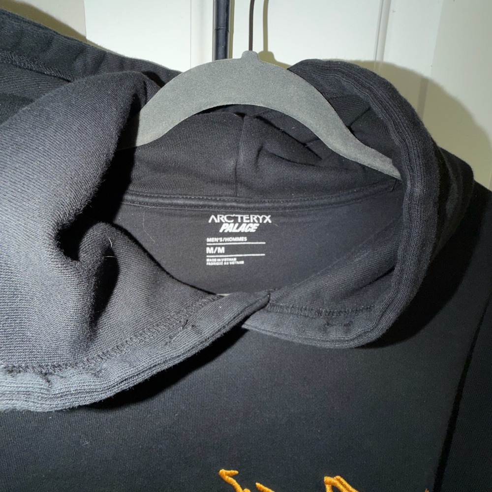 Arc’teryx X Palace Hoodie - Picture 4 of 4